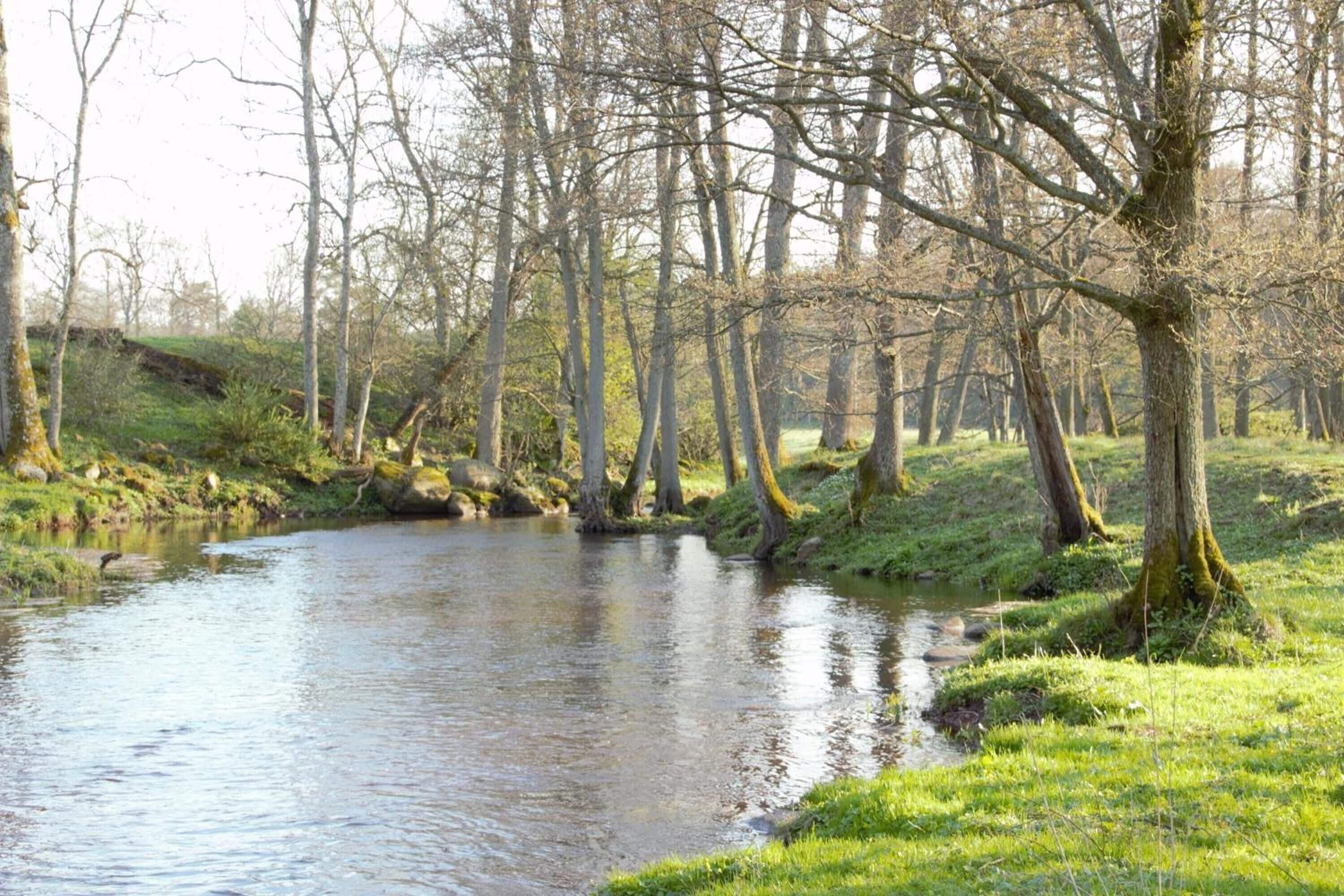 A calm river surrounded by trees and grassy banks.