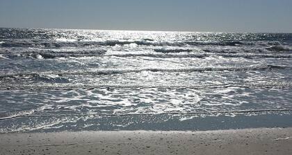 1ST STREET RETREAT UPDATED DOG FRIENDLY APARTMENT WITH FENCED IN YARD!!