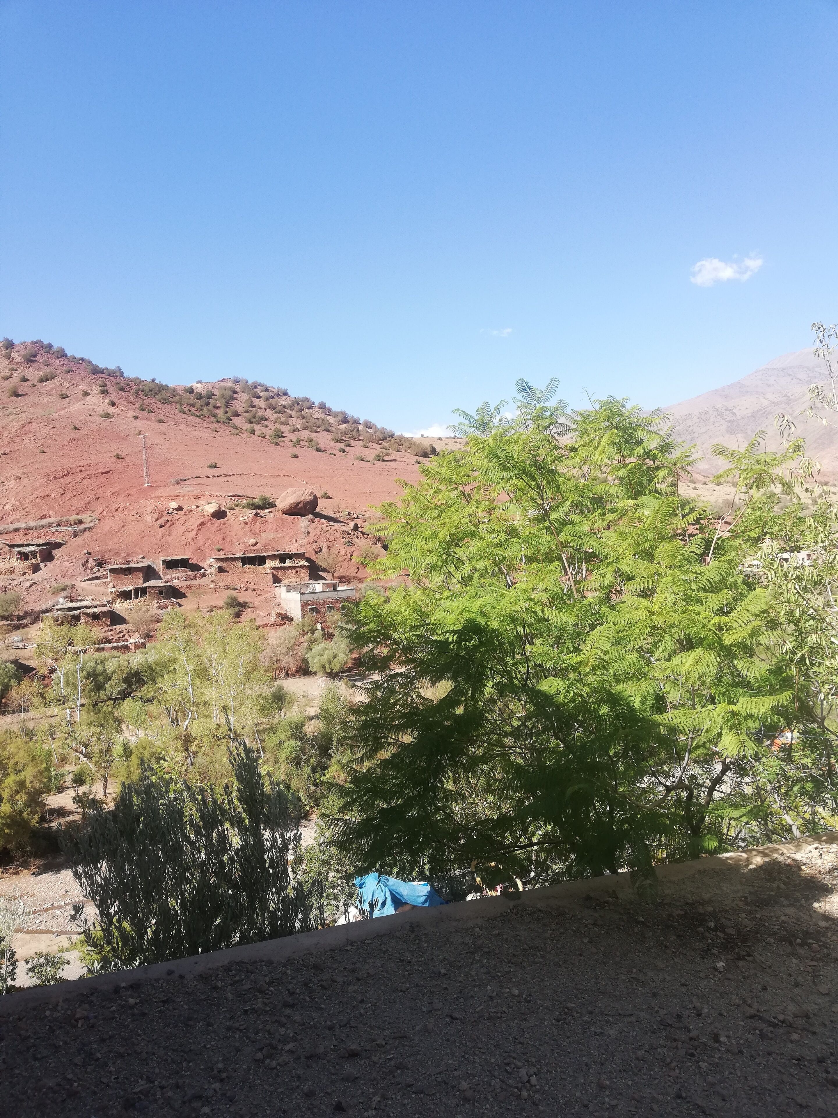 Un paisaje rural con un camino de tierra, vegetación escasa y una colina distante.