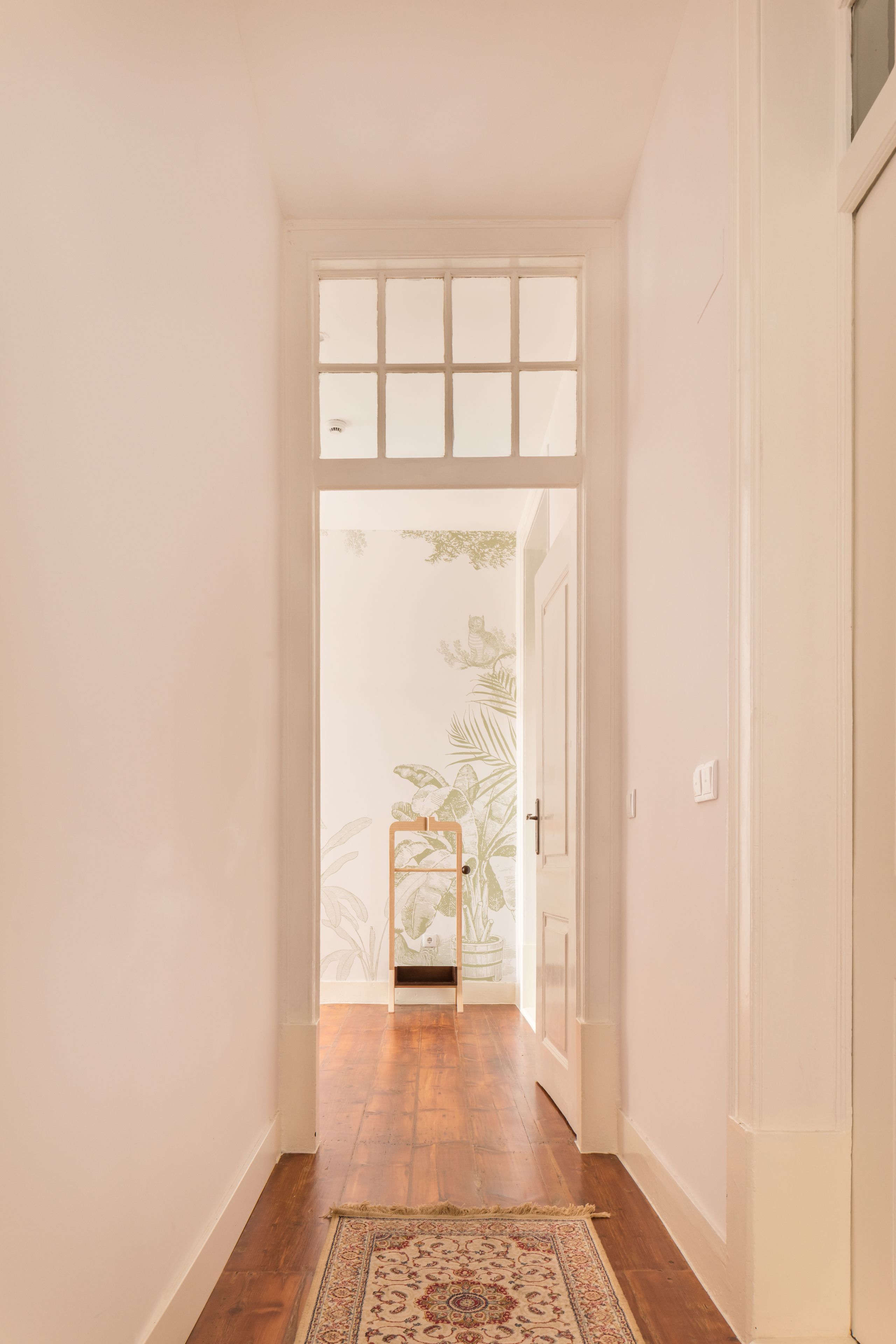 Un couloir doté d’un plancher en bois, de murs blancs et d’une porte donnant sur une pièce où se trouvent une plante et une fenêtre.