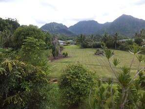 Property grounds - Just steps to Hanalei Bay. A Peaceful Getaway TVR4188 W31871267 (Hanalei)