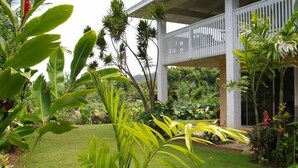 Uma área externa coberta com gramado, rodeada por diversas plantas e árvores tropicais.