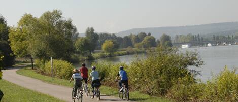 A paved path alongside a body of water with cyclists.