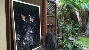A framed picture of a tiger, a large ceramic pot, and a small water feature with plants. - Gallery Nozawa Inn (Kyoto)
