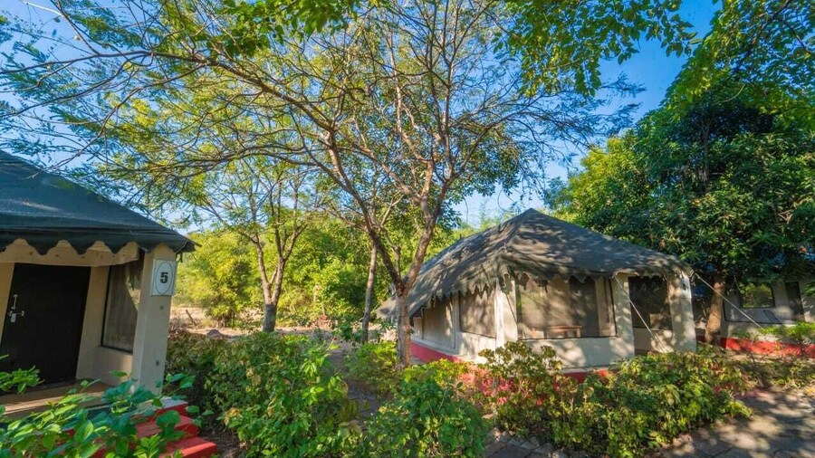 Camp Serai Tiger Tadoba