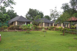 Property grounds - Camp Serai Tiger Tadoba (Bhadravathi)