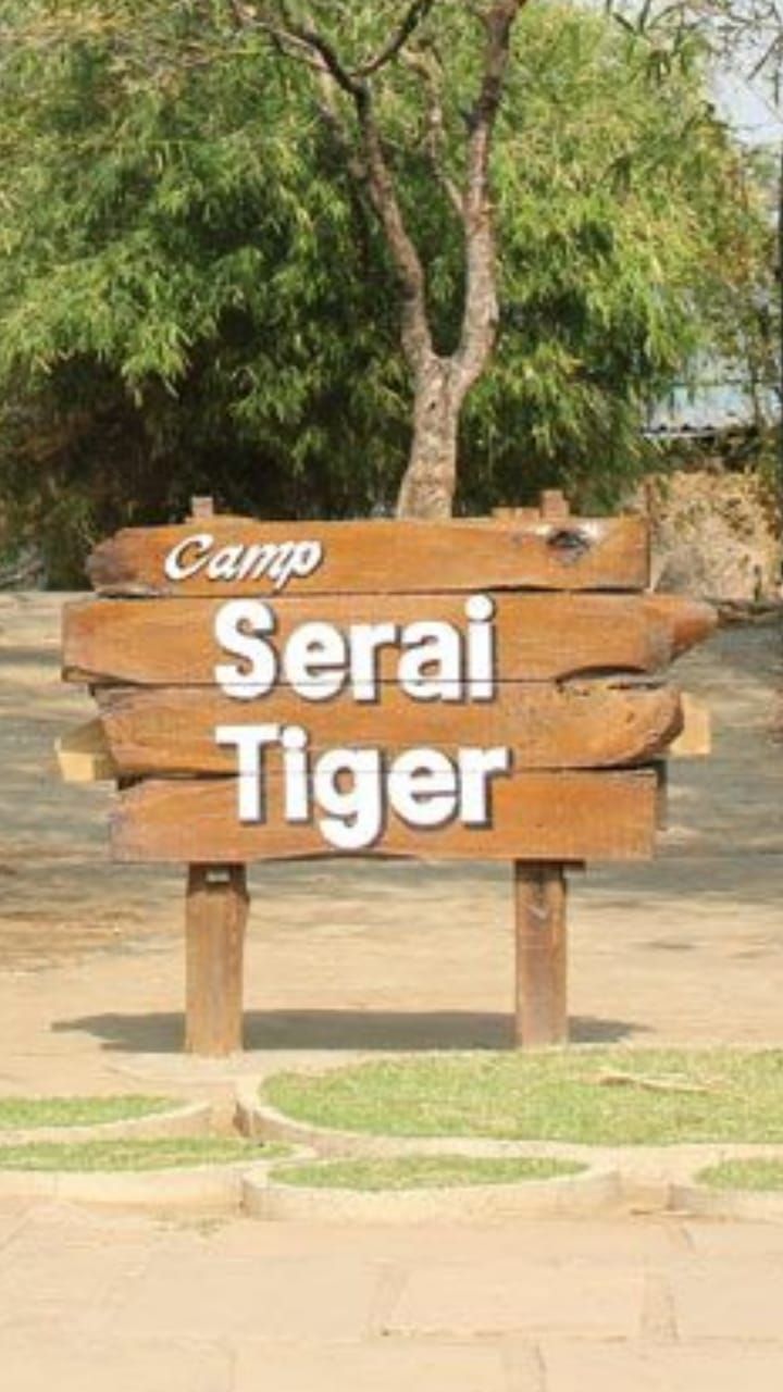 A wooden sign with the text "Camp Serai Tiger" indicating the name of the camp.