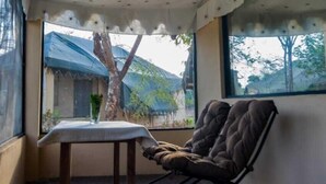 Una habitación con techo estampado con estrellas, una mesa, una silla y vista a un árbol y una casa desde afuera.