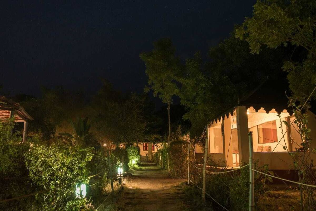 Un sendero conduce a un edificio con porche, rodeado de follaje y árboles.