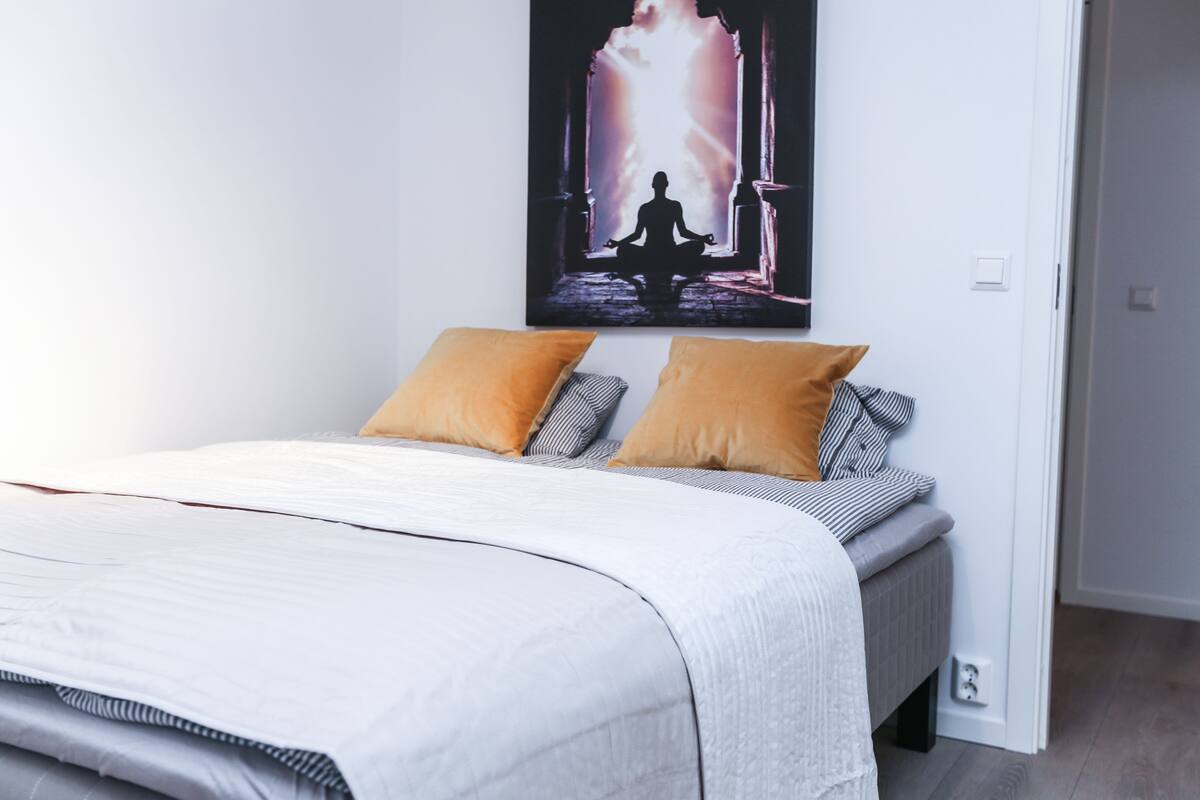 A bedroom with a bed, two pillows, a wall-mounted picture, and a door.