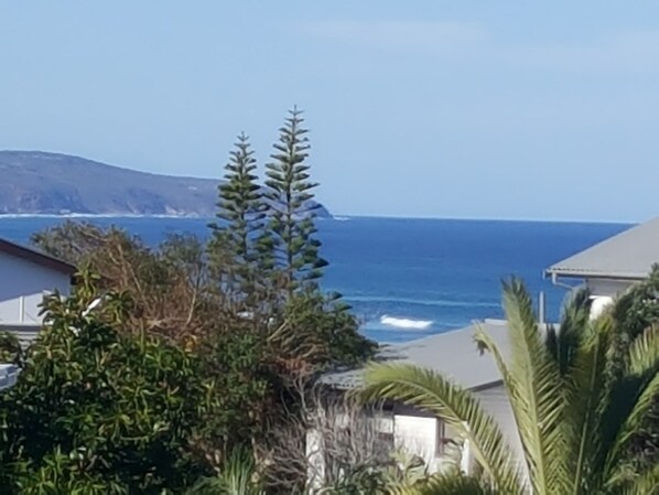 Un quartier résidentiel situé sur la côte, avec des maisons et une vue sur l’océan.