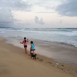 位於海灘上