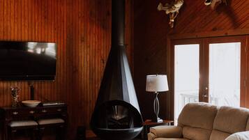 TV connectée, cheminée, lecteur de DVD, livres