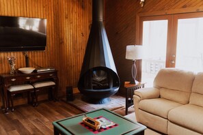 Smart TV, chimenea, reproductor de DVD y libros 