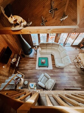 Smart TV, fireplace, DVD player, books