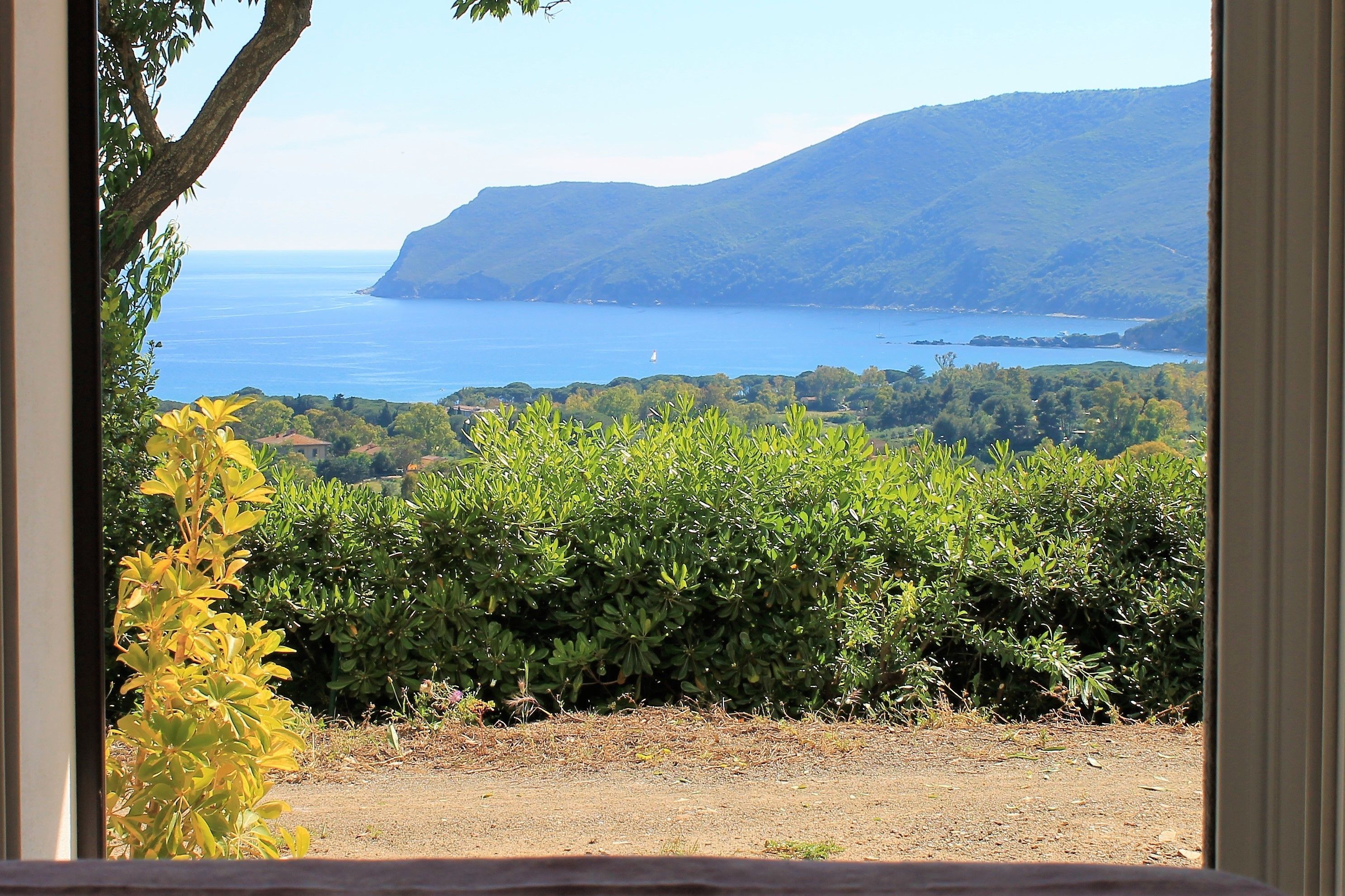 Apartment, 1 Bedroom | View from room