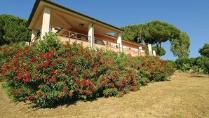 Un bâtiment à deux étages doté d’un balcon, entouré d’arbustes et d’arbres aux fleurs rouges.
