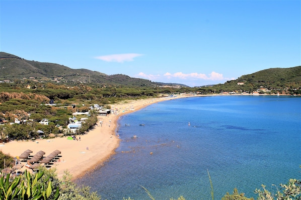 靠近海滩、间海滩酒吧