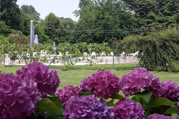 Alberca al aire libre por temporada