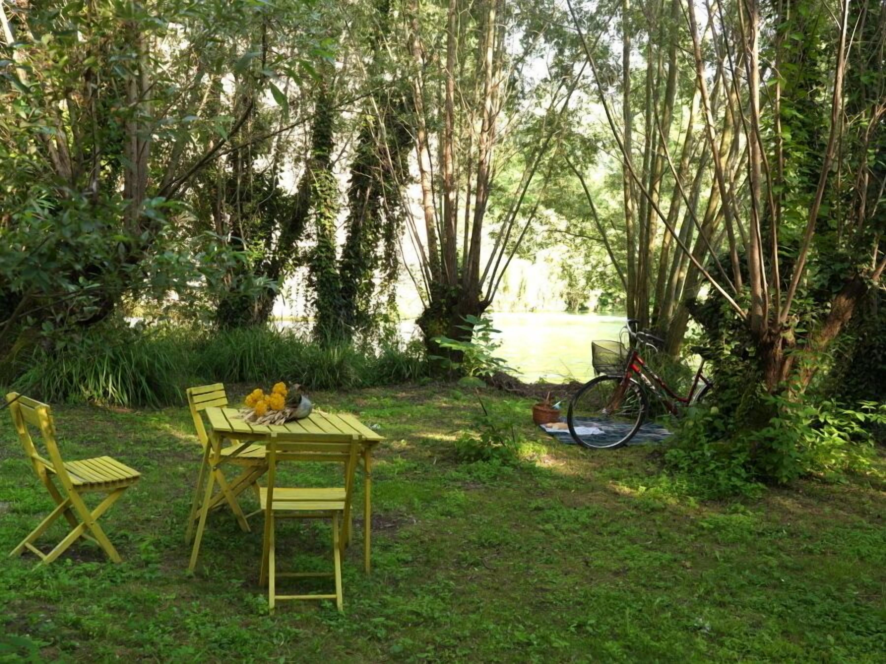 Un espace extérieur aménagé avec une table et des chaises, entouré d’une végétation luxuriante et d’un vélo.