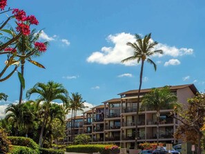 Exterior - Beautiful South Kihei 1BR w/ Split AC & Parking! (Kihei)