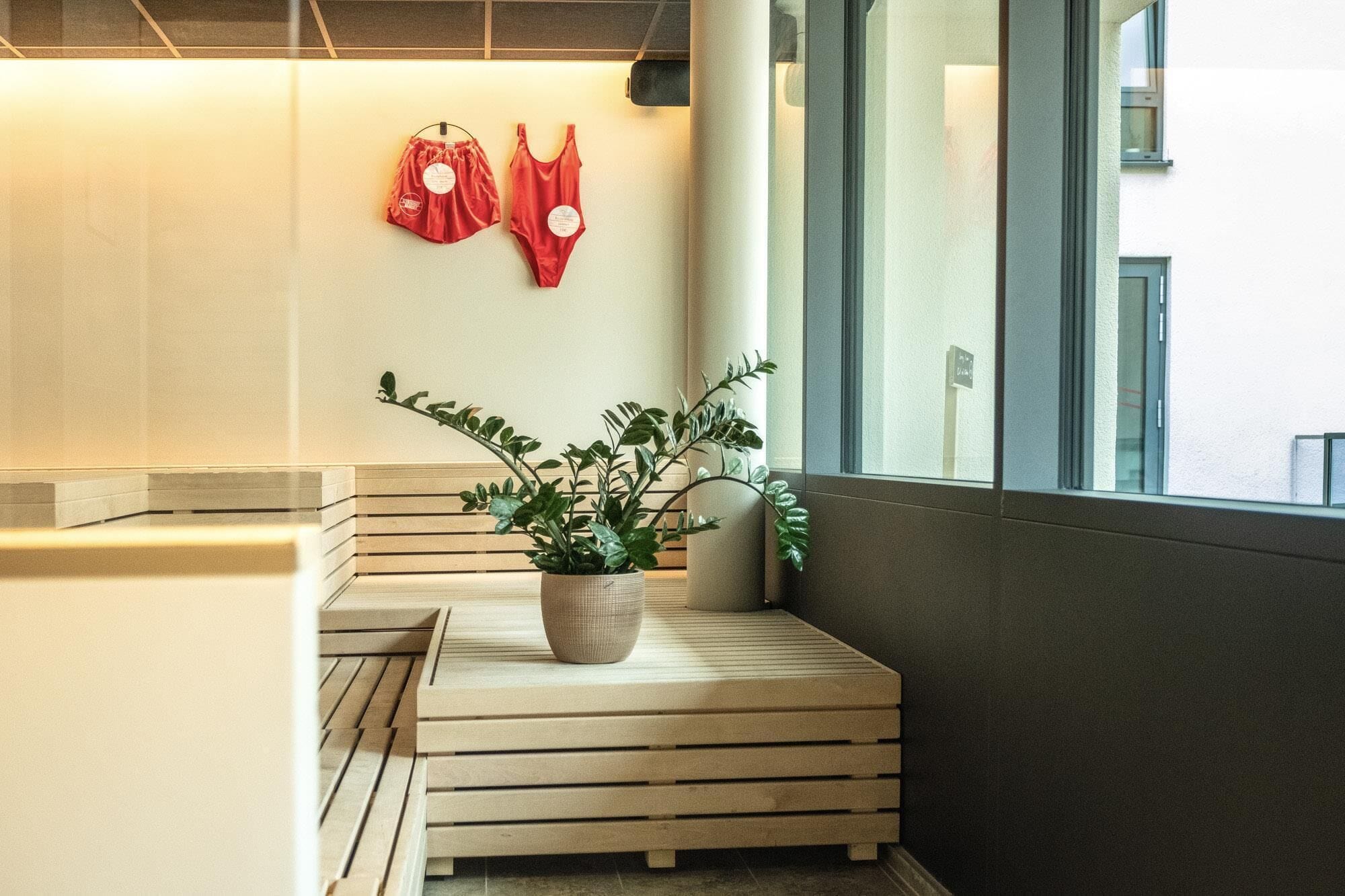 Rincón con un banco de madera, una planta en maceta y dos bolsas rojas colgadas en la pared.