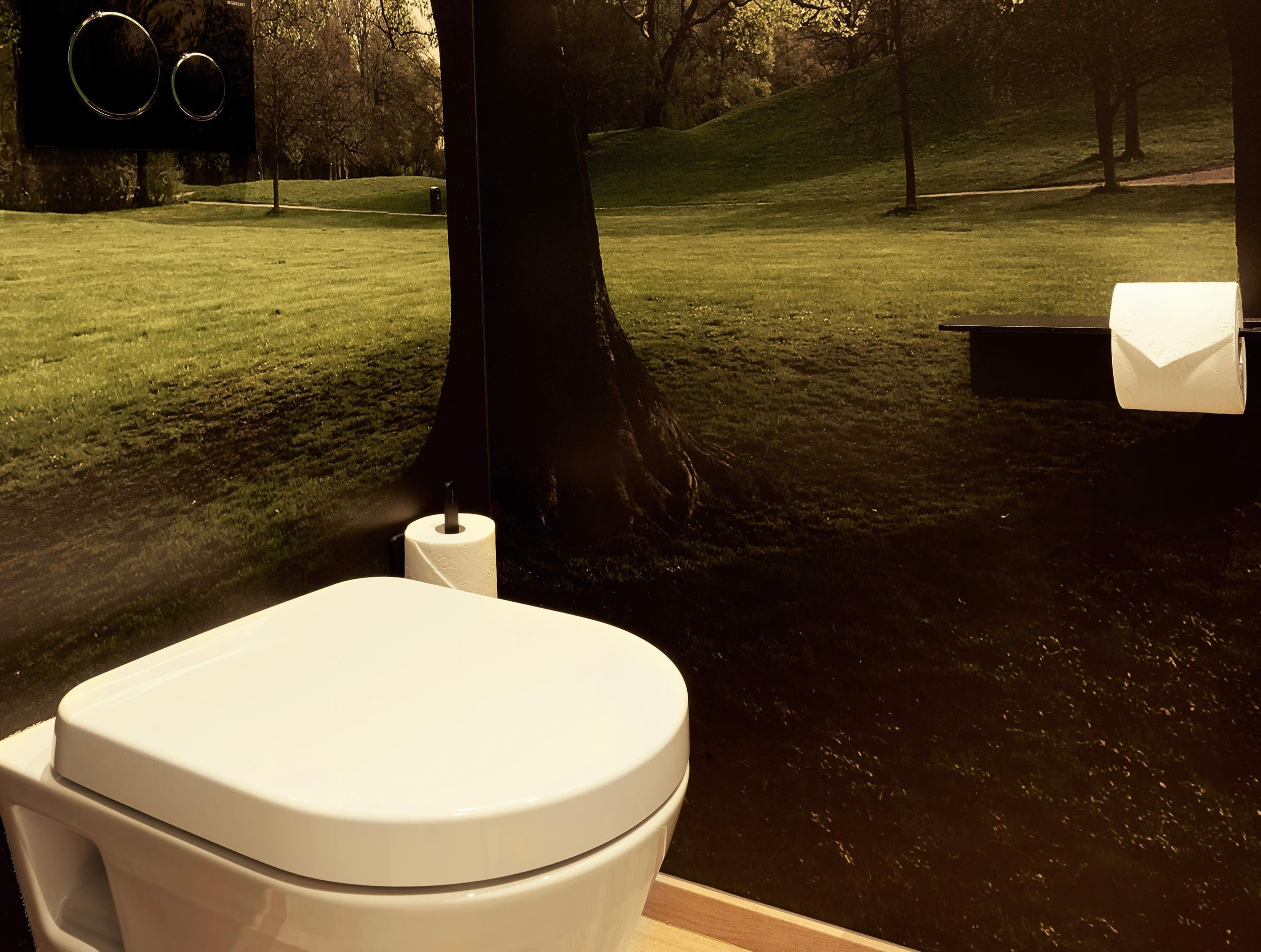 A toilet with a paper towel holder, a roll of toilet paper, and a view of a grassy park area.
