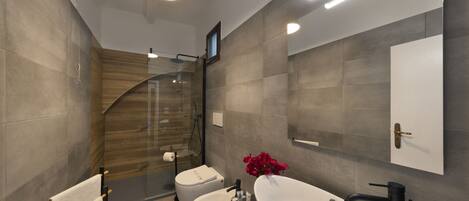 A modern bathroom with a glass shower enclosure, a white sink, and a bidet.