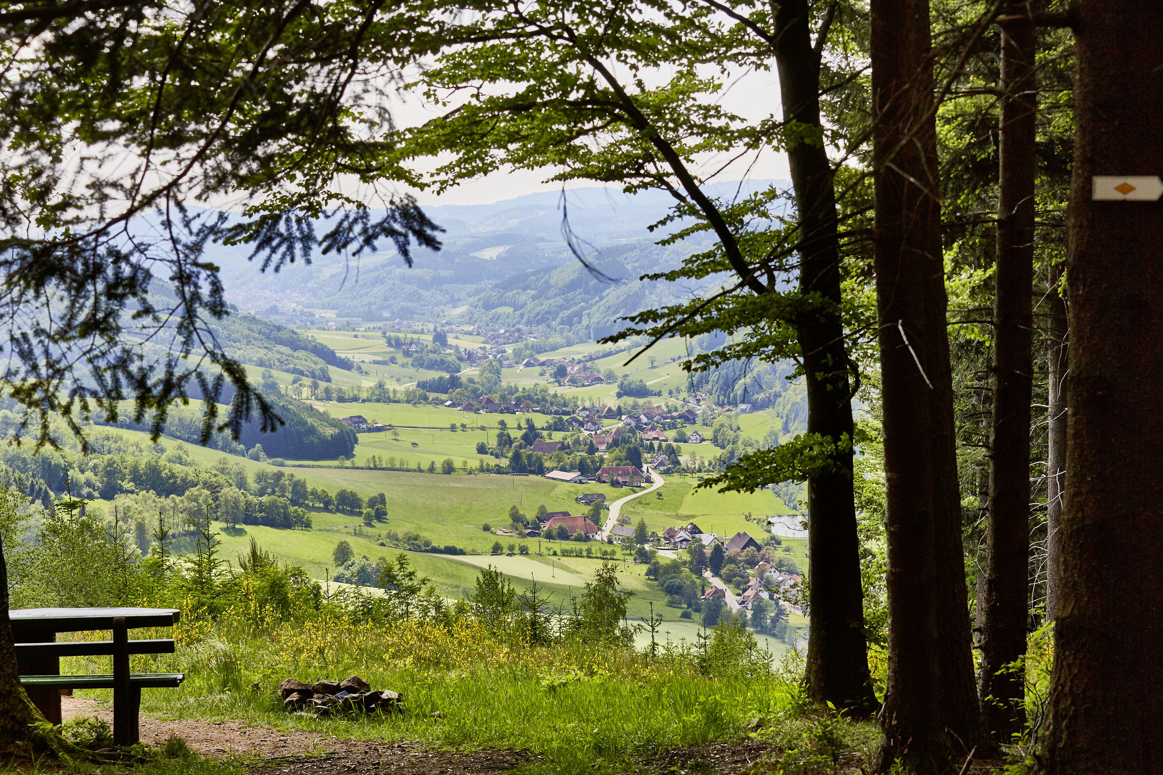 land view from property