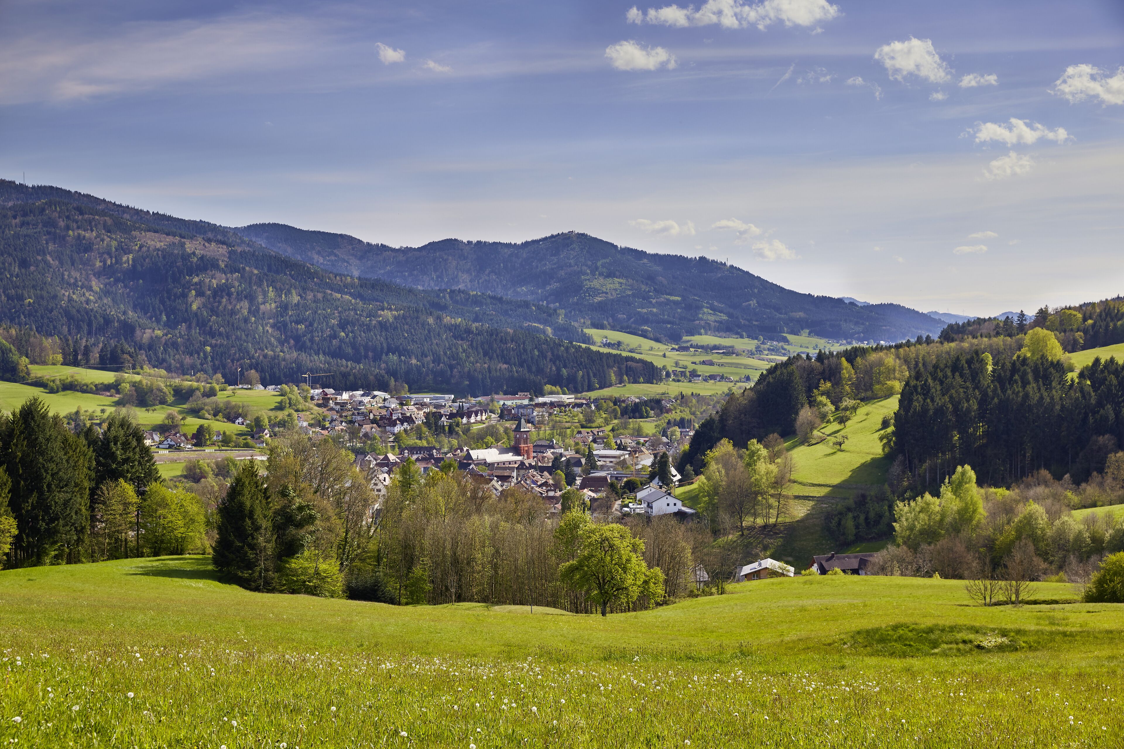 land view from property