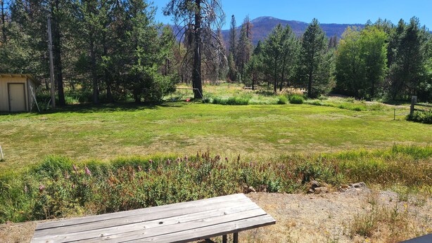 A wooden picnic table in a grassy yard with trees and a mountain in the background.