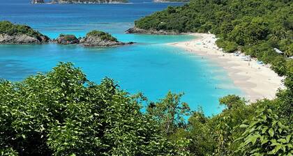 La Bella Villa (2BR / 2BA) Upeat näkymät, upea uima-allas, maaginen huvila!