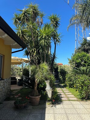 Jardim