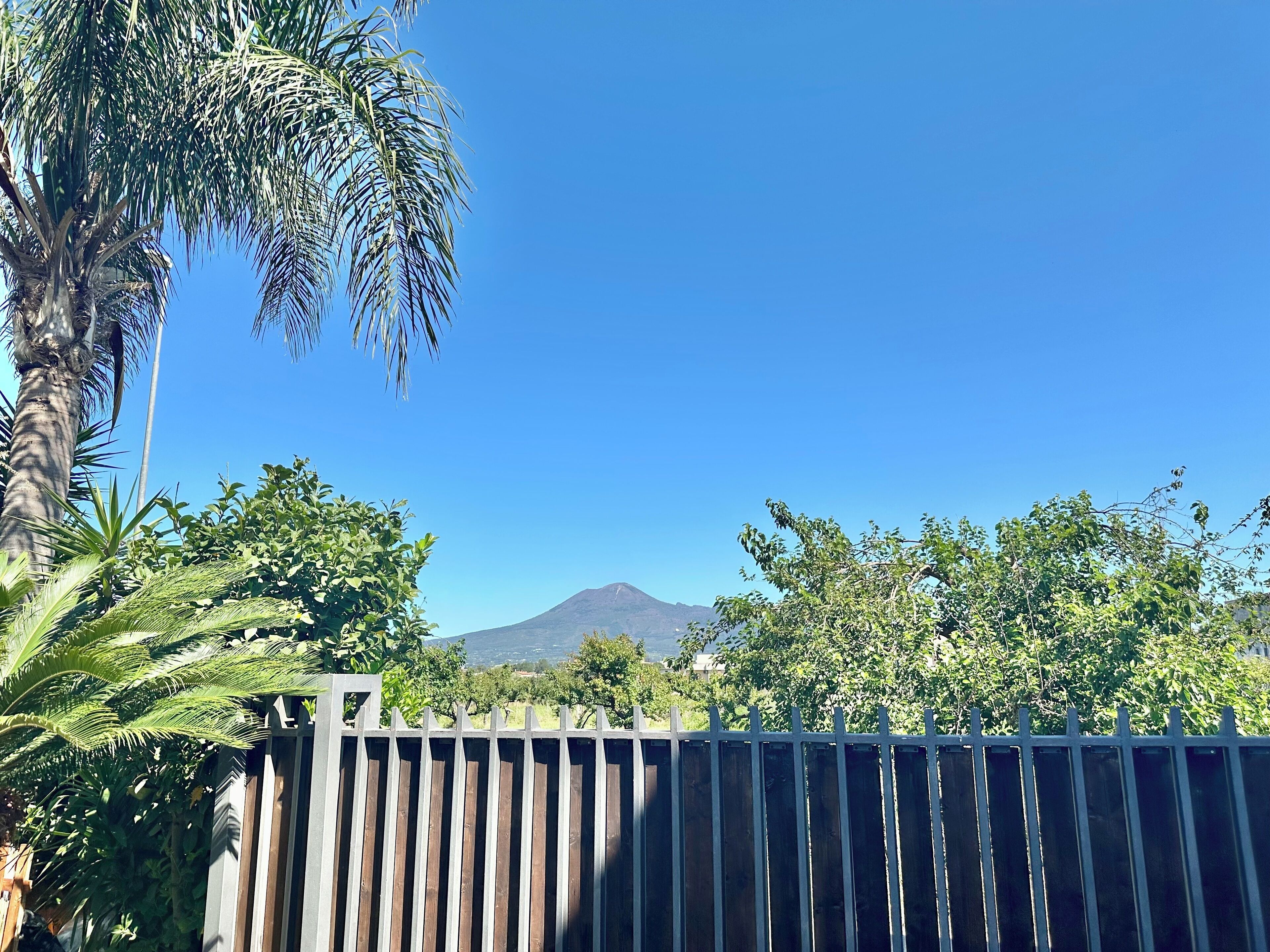 Vista dalla struttura