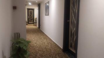 A hallway with patterned carpet, a potted plant, and a door with a geometric design.