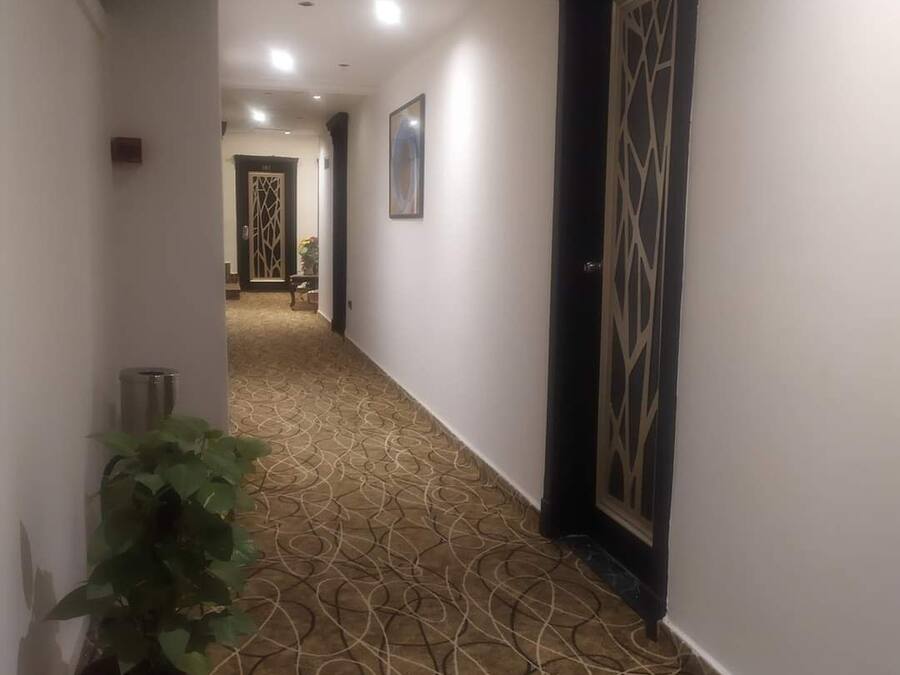 A hallway with patterned carpet, a potted plant, and a door with a geometric design.