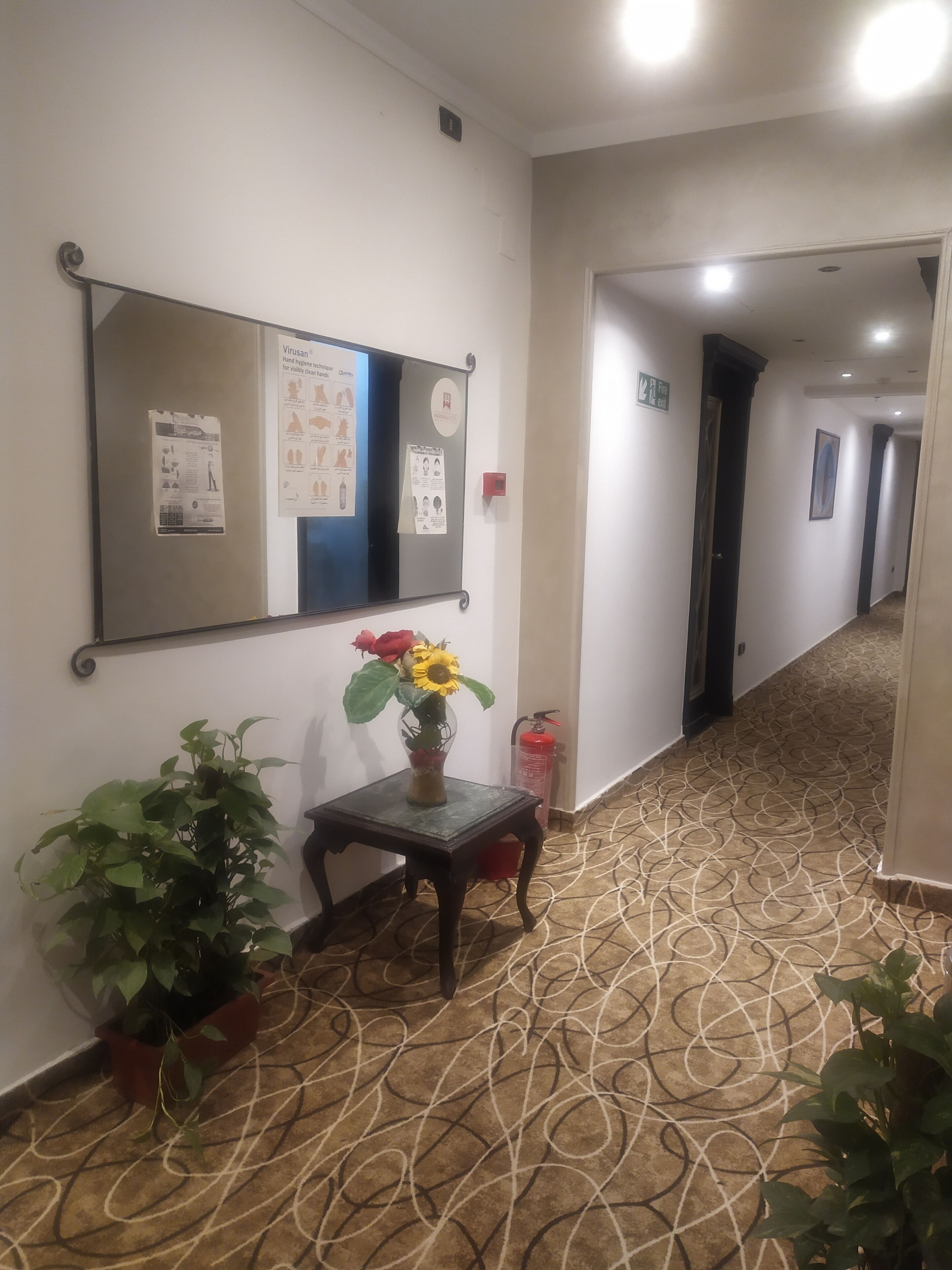 Foto - Havana Hotel Cairo