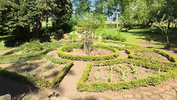 Un jardín ajardinado con un árbol central, rodeado de setos bien cuidados y diversas plantas.
