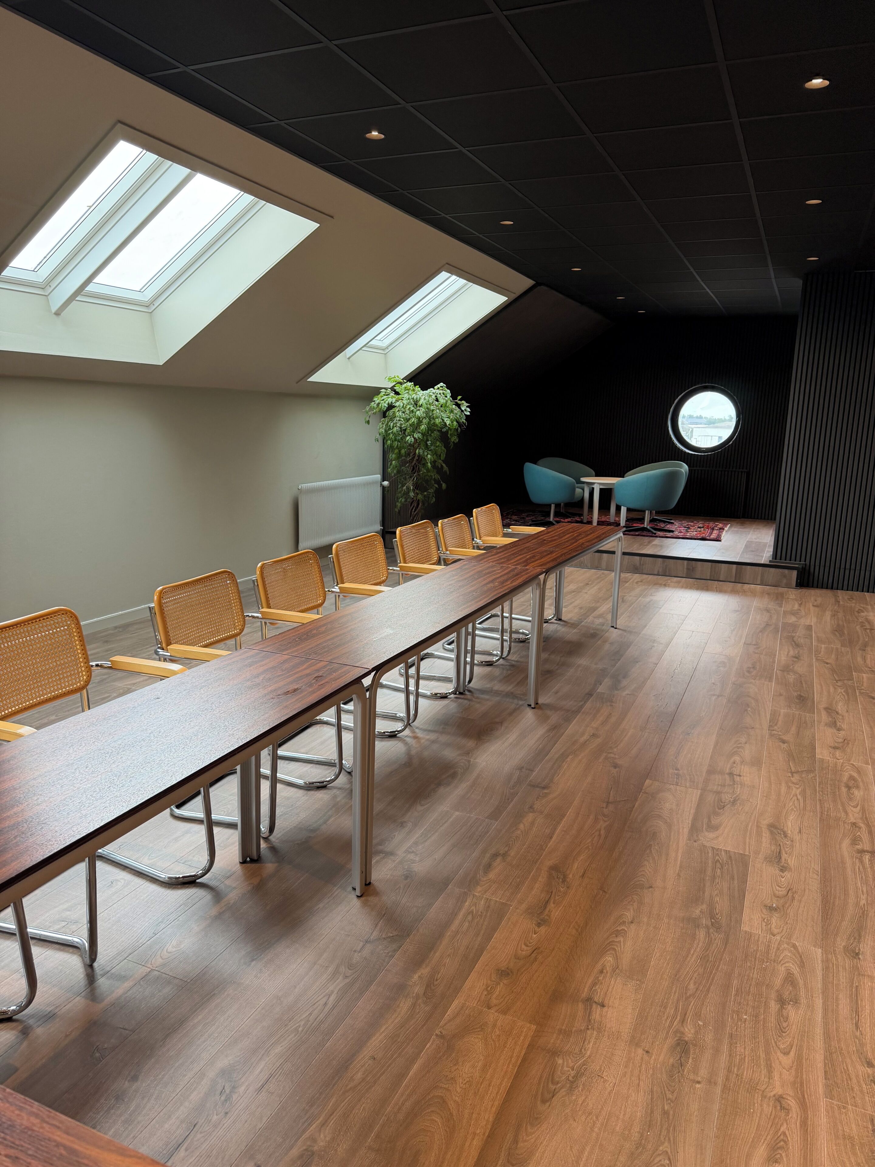 Ett konferensrum med ett långt bord, stolar och en växt.