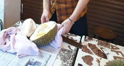 Cocoa Mews Cafe & Homestay - Hostel