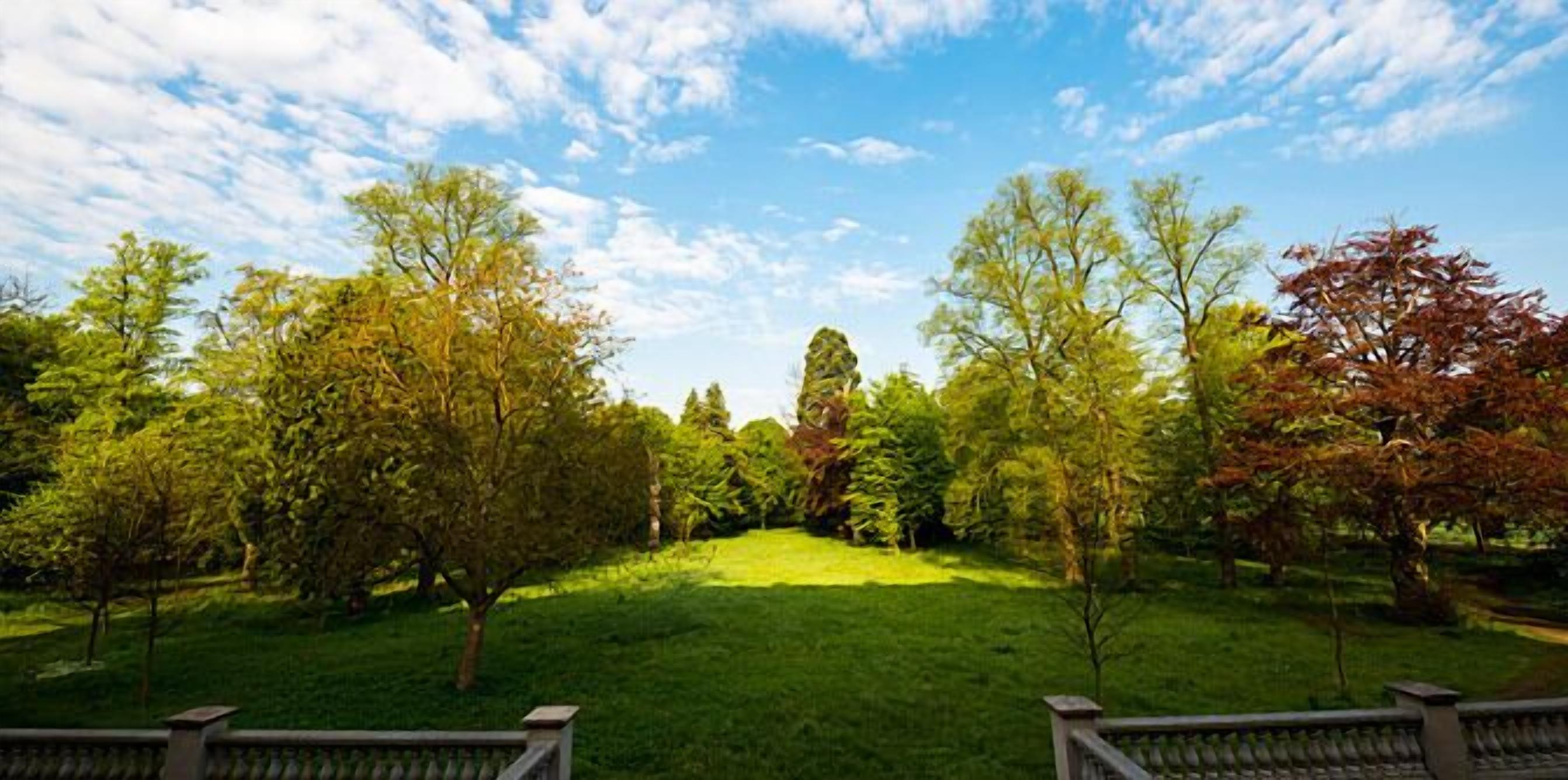 En park med græs, træer og et træhegn.