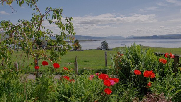 A garden with red poppies and a view of a lake and mountains. - Steading Holidays - Ardvaig (Acharacle)