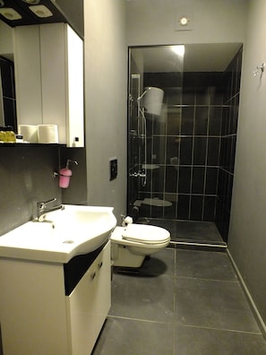 Standaard kamer | Badkamer | Een douche, gratis toiletartikelen, een haardroger, handdoeken