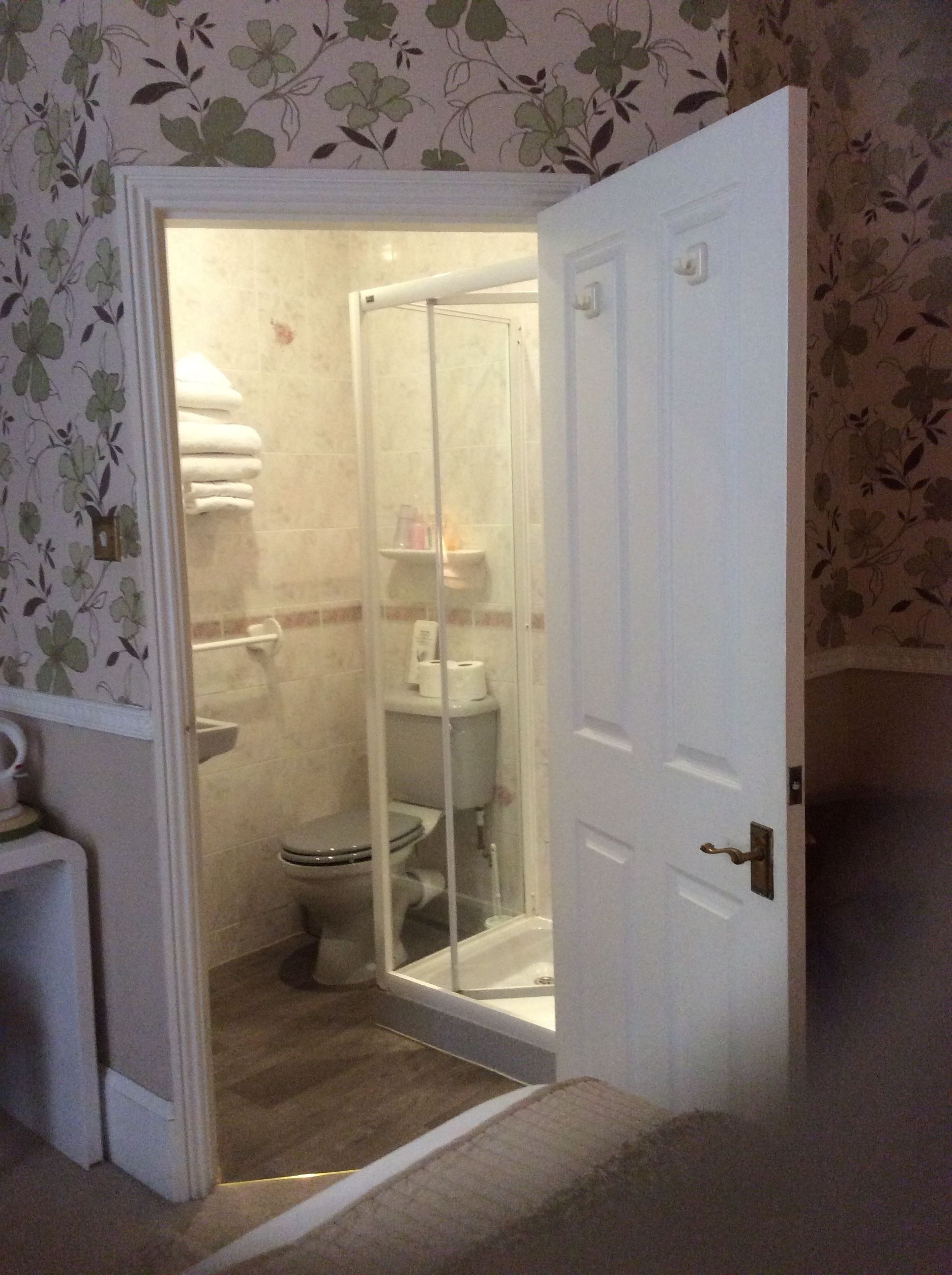 A bathroom with a shower enclosure, a toilet, and a sink.