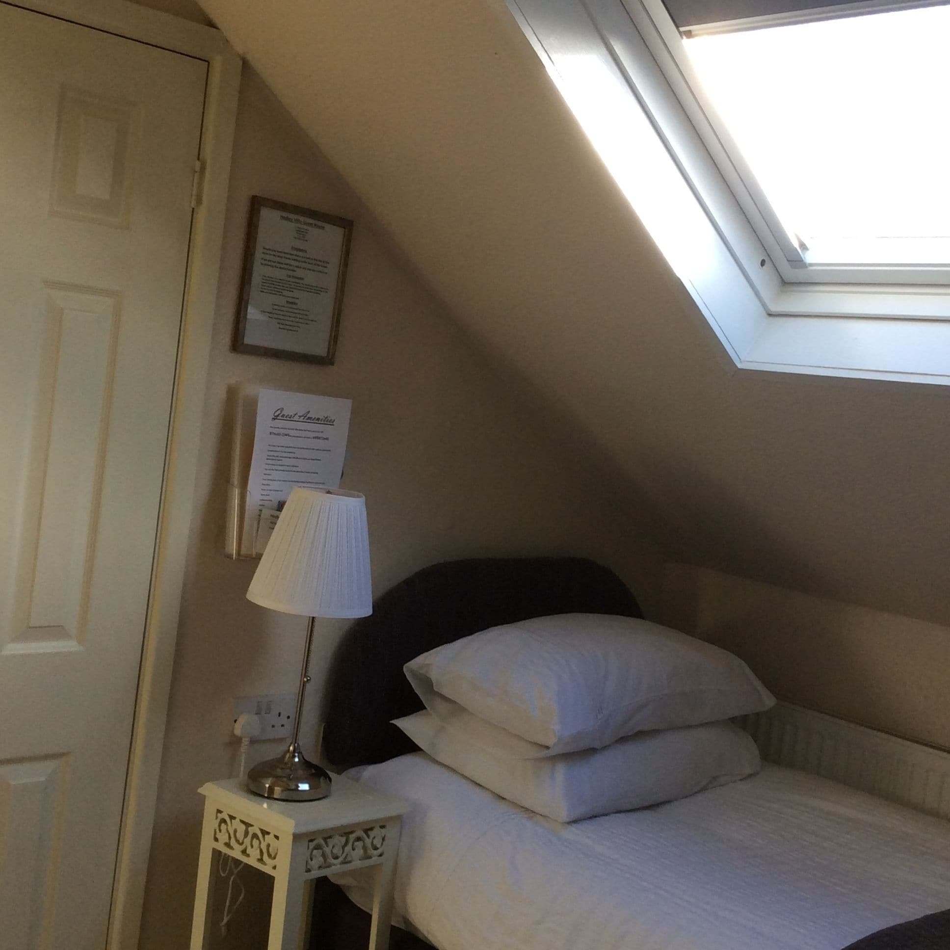 A bedroom with a skylight, a bedside table with a lamp, and a bed with pillows.