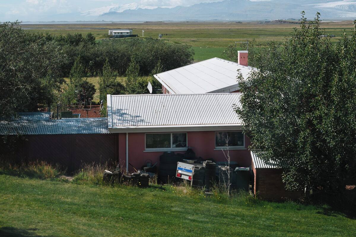 A house with a metal roof, surrounded by greenery and a clear sky.