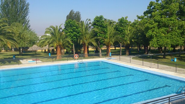 Una piscina con agua azul cristalina, rodeada de palmeras y un césped.