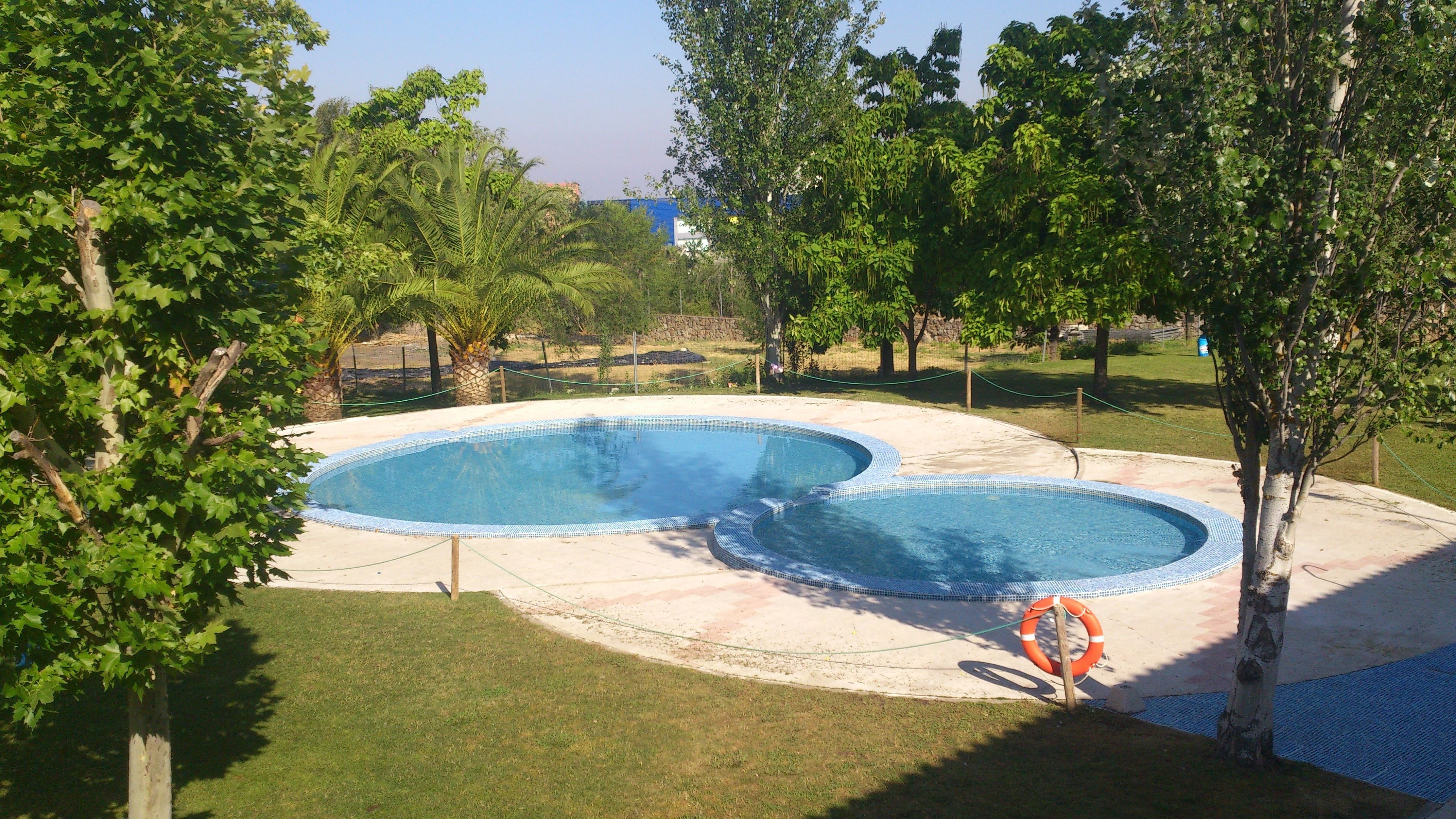 A swimming pool with a tiled edge, surrounded by grass and trees.