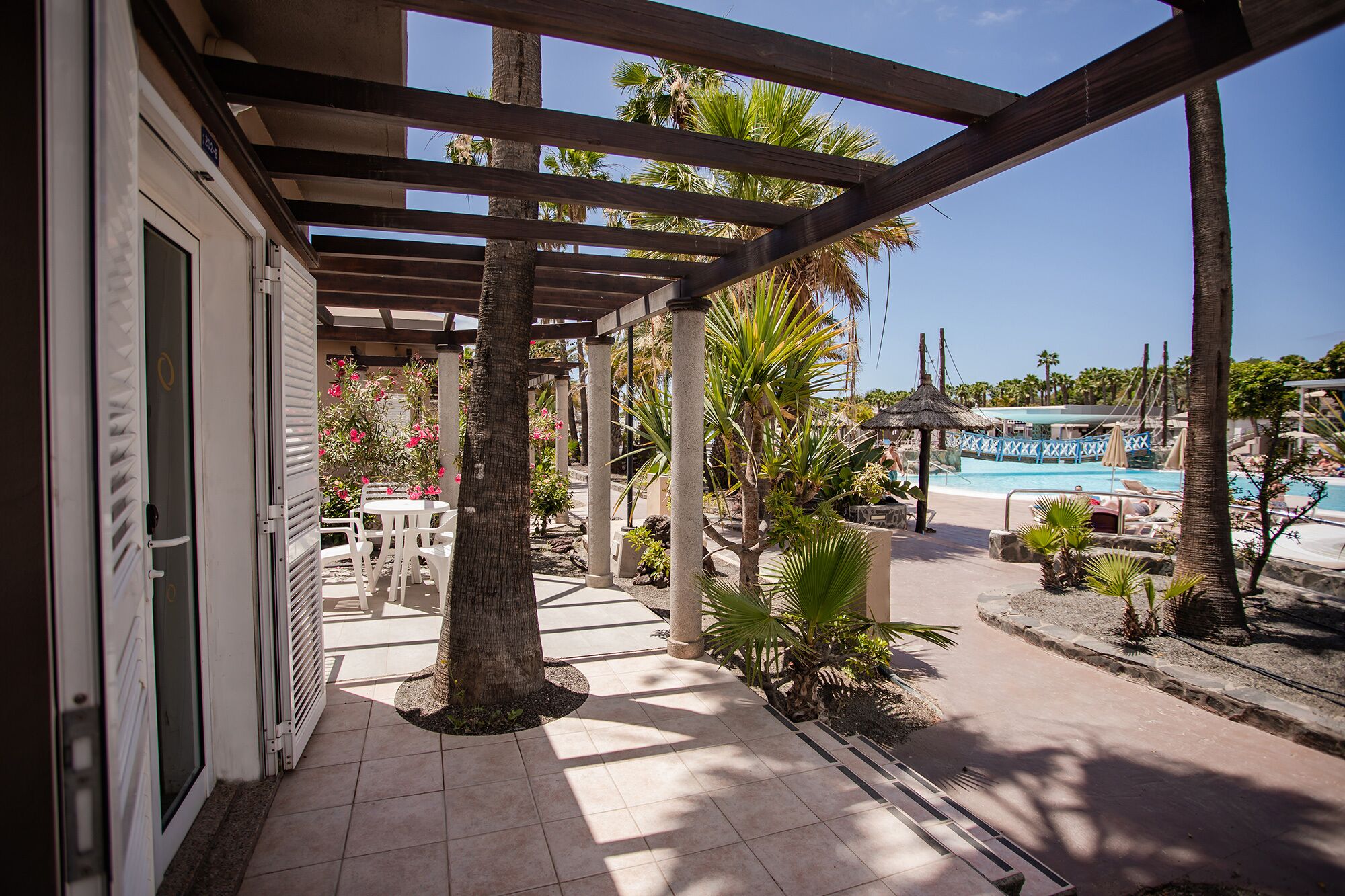 Un espacio al aire libre cubierto con piscina, palmeras y un patio con sillas y mesas.