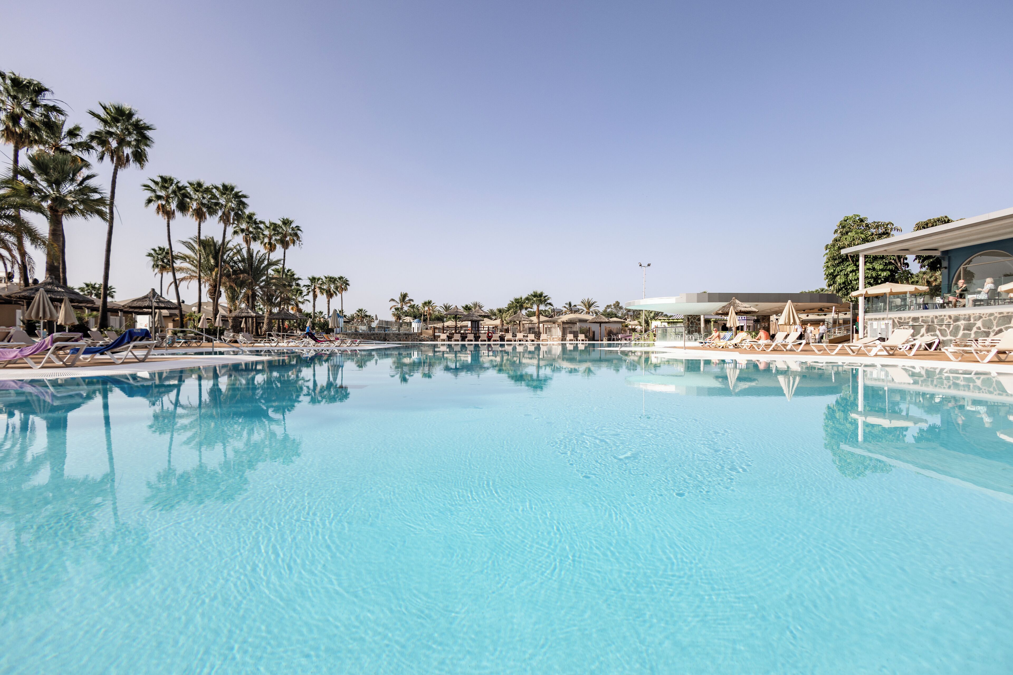 A large outdoor swimming pool with lounge chairs and palm trees.
